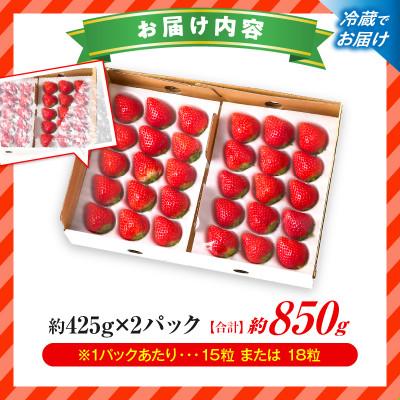 ふるさと納税 三木町 『苺音スタンダード』春の大粒さぬきひめいちご約850g【2027年3月〜5月配送】 |  | 03