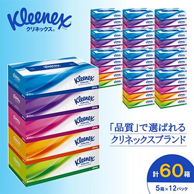 ふるさと納税 開成町 クリネックスティシュー 60箱(5箱×12パック) ティッシュ