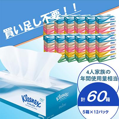 ふるさと納税 開成町 クリネックスティシュー 60箱(5箱×12パック