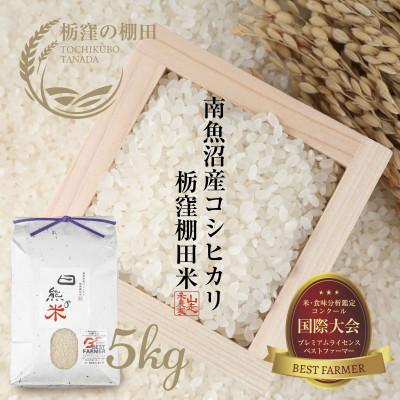 ふるさと納税 南魚沼市 [栃窪の棚田米] 新潟県 南魚沼 しおざわ 栃窪産 コシヒカリ 5kg 精米 日熊の米 棚田米