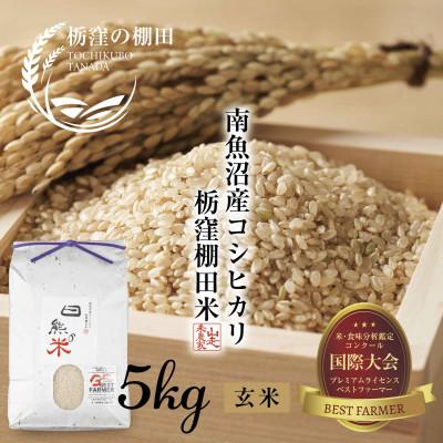 ふるさと納税 南魚沼市 [栃窪の棚田米] 新潟県 南魚沼産 コシヒカリ玄米 5kg 日熊の米