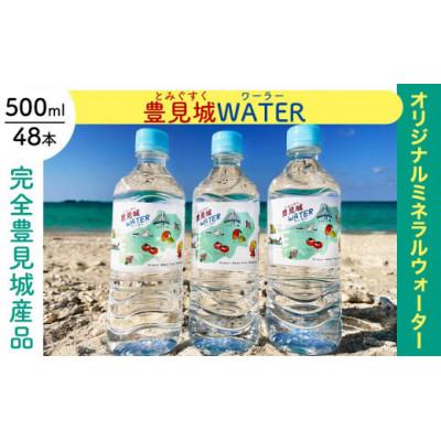ふるさと納税 豊見城市 オリジナルミネラルウォーター 500ml 24本入り 2ケース