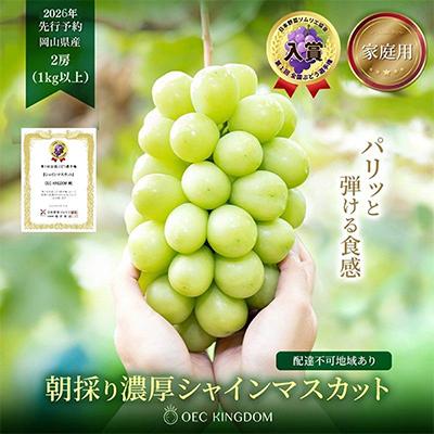 ふるさと納税 里庄町 [ご家庭用] シャインマスカット 2房(合計1kg以上) 岡山県産 OEC KINGDOMぶどう家