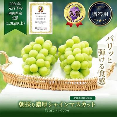 ふるさと納税 里庄町 シャインマスカット 2房(合計1.3kg以上)贈答クラス 岡山県産 OEC KINGDOMぶどう家