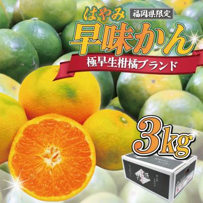 ふるさと納税 福津市 [2026年9月中旬〜順次発送]JAむなかたブランドみかん(早味かん)約3kg[G2280]