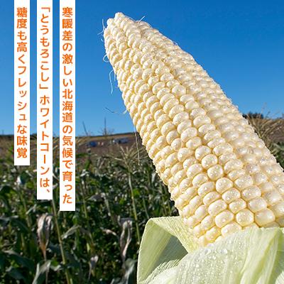 ふるさと納税 旭川市 2027年先行受付北海道とうもろこし10本セットピュアホワイト5本×ゴールドラッシュ5本_03648 |  | 01