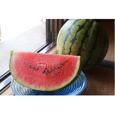 ふるさと納税 山辺町 [2026年先行受付]「ピノガール」2玉 [タネごと食べれるシャキシャキ小玉すいか]