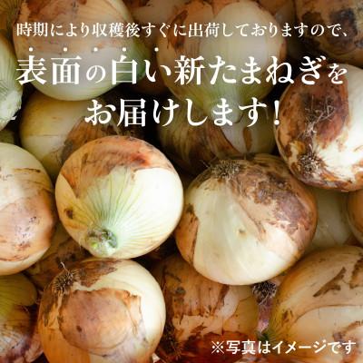 ふるさと納税 泉佐野市 射手矢さんちの泉州プレミアムたまねぎ5kgとドレッシング 200ml×1本 G3681の画像