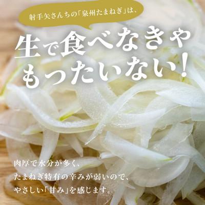 ふるさと納税 泉佐野市 射手矢さんちの泉州プレミアムたまねぎ5kgとドレッシング 200ml×1本 G3681の画像