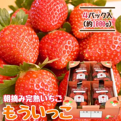 ふるさと納税 山元町 山元いちご農園 朝採りいちご もういっこ 1.0kg(250g×4パック)