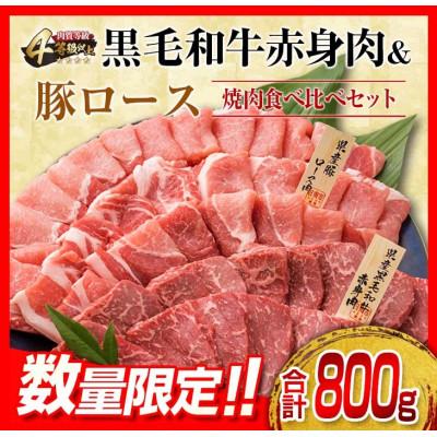 ふるさと納税 日南市 ≪数量限定≫黒毛和牛赤身肉&amp;豚ロース焼肉食べ比べセット(合計800g)(日南市)