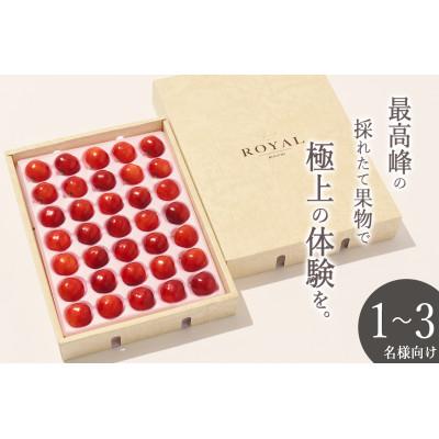 ふるさと納税 南アルプス市 &lt;2026年先行受付&gt;南アルプス市産 大粒さくらんぼ「佐藤錦」2L,3Lサイズ 35粒入