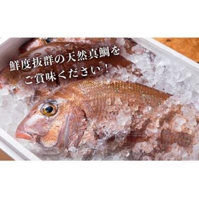 ふるさと納税 壱岐市 【平山旅館壱岐もの屋】鯛茶漬け 6人前 ギフト