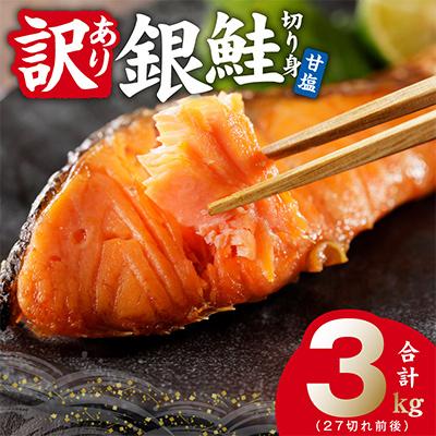 ふるさと納税 泉佐野市 [TVで紹介!]銀鮭切り身 3kg 訳あり サイズ不揃い 27切れ前後