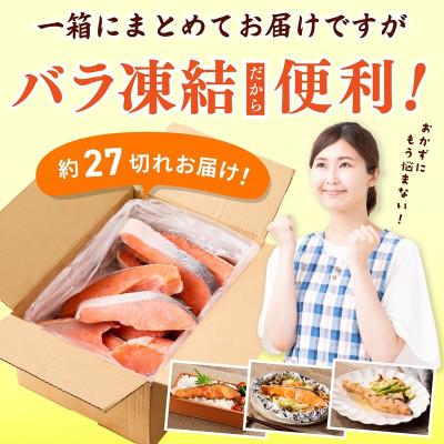 ふるさと納税 泉佐野市 【訳あり】銀鮭切り身 3kg(約27切れ)サイズ不揃い 家庭用 |  | 02