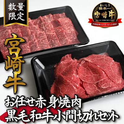 ふるさと納税 小林市 [数量限定受付!]宮崎牛お任せ赤身焼肉と黒毛和牛小間切れセット(小林市)