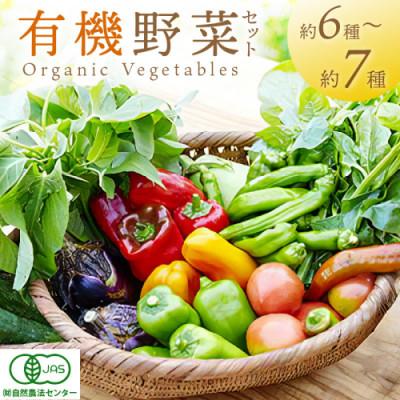 ふるさと納税 京丹後市 [有機JAS認定 有機野菜]オーガニック野菜セット(2人用、おまかせ6〜7種類前後)