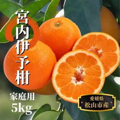 ふるさと納税 松山市 [宮内伊予柑]家庭用 約5kg &lt;1月末〜3月中旬頃発送&gt;