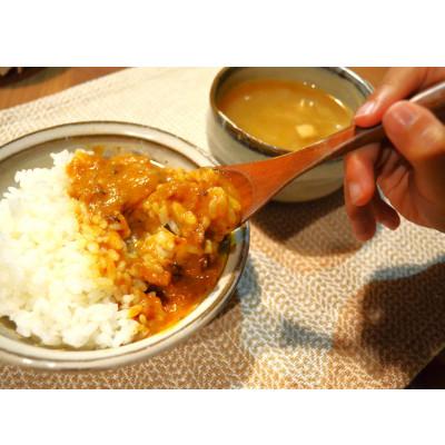 ふるさと納税 防府市 [防府の玉葱]農家カレー チキン甘口4個セット