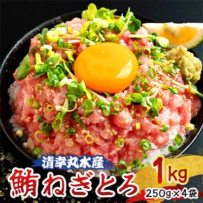 ふるさと納税 君津市 天然 まぐろ ねぎとろ 小分け 250g×4袋(合計1kg)
