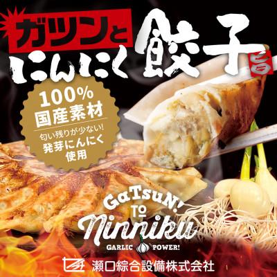 ふるさと納税 海津市 岐阜県海津市産 栄養価満載!臭い残り少ない!発芽にんにく使用 「ガツンとにんにく餃子」1パック