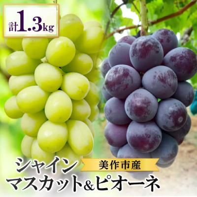 ふるさと納税 美作市 2026年先行受付 美作市産 シャインマスカット&amp;ピオーネ 合計約1.3kg(各1房)