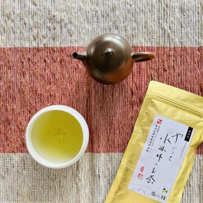 ふるさと納税 松田町 やどりき水源林のお茶(100g)