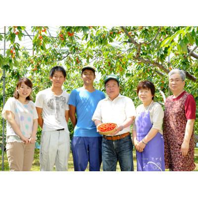 ふるさと納税 寒河江市 山形の黄桃 1.4kg(4〜6玉) 品種おまかせ 秀品 2026年産の画像