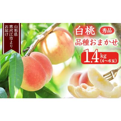 ふるさと納税 寒河江市 山形の白桃 1.4kg(4〜6玉) 品種おまかせ 秀品 2026年産