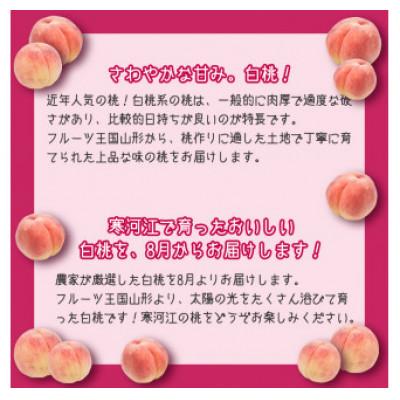 ふるさと納税 寒河江市 山形の白桃 2kg(5〜9玉)  品種おまかせ 秀品 2026年産の画像