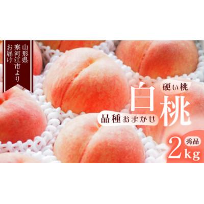 ふるさと納税 寒河江市 白桃[硬い桃]2kg(5〜9玉) 品種おまかせ 秀品 2026年産
