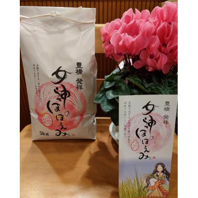 ふるさと納税 田原市 愛知県田原市産「女神のほほえみ」5kg(3分づき)