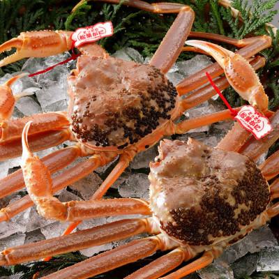 ふるさと納税 北栄町 [活] [タグ付き]厳選松葉がに 特大2杯(700g以上×2杯) 2025年11月発送