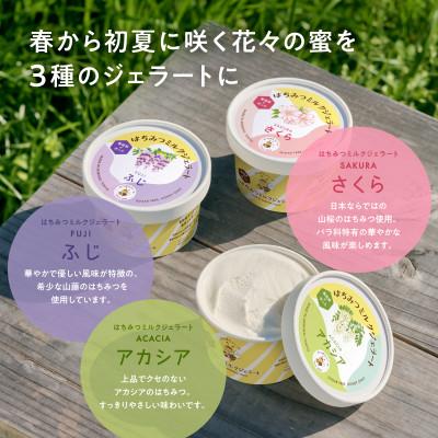 ふるさと納税 あきる野市 はちみつミルクジェラート10個セット(はちみつ2種各1瓶付き)_2