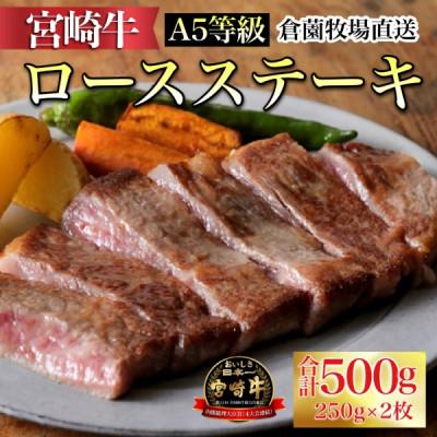 ふるさと納税 小林市 [黒毛和牛専門店からお届け!]A5等級宮崎牛ロースステーキ 250g×2枚