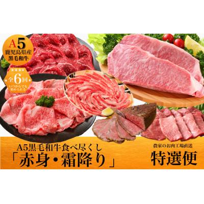 ふるさと納税 指宿市 [全6回定期便]鹿児島県産A5黒毛和牛霜降り・赤身食べ尽くし定期便ギフト箱(Z120-550)M21