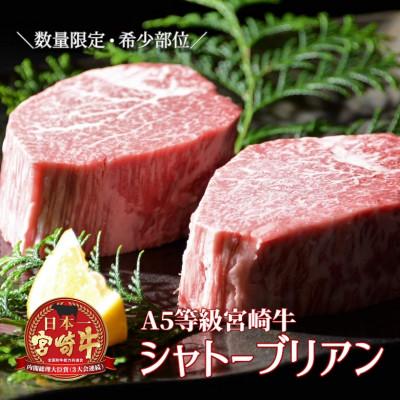 ふるさと納税 小林市 [プレミアムシリーズ]厳選宮崎牛メス指定 A5等級シャトーブリアン400g