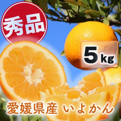 ふるさと納税 松山市 [先行受付]秀品 宮内伊予柑 5kg 愛媛県産[2026年1月上旬〜2月順次発送]