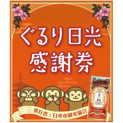 ふるさと納税 日光市 ぐるり日光感謝券[商品券3,000円分]