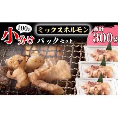 ふるさと納税 寒河江市 [3パックが丁度いい!]焼肉店でも人気の国産牛ホルモンMIXが100g×3パック![家で焼肉店の味]