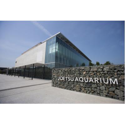 ふるさと納税 上越市 上越市立水族博物館 うみがたり入館券 シニア(65歳以上) 2枚 |  | 03