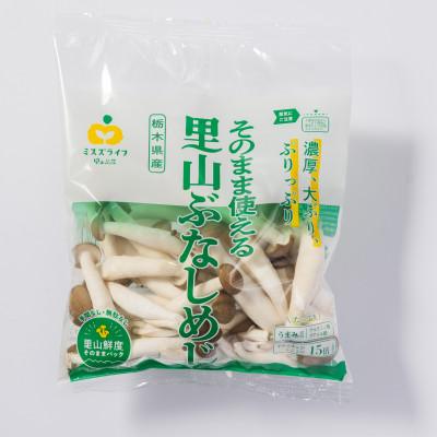 ふるさと納税 那須塩原市 そのまま使える里山ぶなしめじ(栃木県那須工場産)