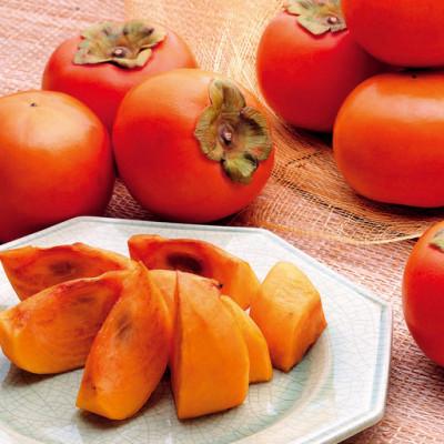 ふるさと納税 九度山町 [本場/2026年11月下旬以降発送]袋掛け樹上完熟富有柿[贈答用/赤秀] 11-13玉入り