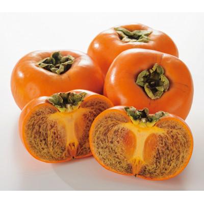 ふるさと納税 九度山町 [本場/2026年10月中旬以降発送]和歌山県産 紀の川柿[贈答用/赤秀]6-10玉