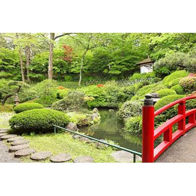 ふるさと納税 八王子市 鶯啼庵の『おもてなし』懐石一皿分の料理8品・4名様ご誘い出す券