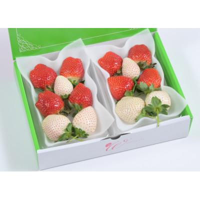 ふるさと納税 鹿沼市 つる付き紅白プレミアムいちご270g×2パック(2月中旬〜2月下旬発送) |  | 03