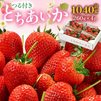ふるさと納税 鹿沼市 つる付きとちあいか260g×4パック箱(3月〜5月順次発送)