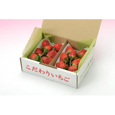 ふるさと納税 鹿沼市 つる付きとちおとめ260g×2パック(3月〜5月順次発送) |  | 01