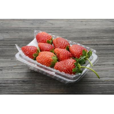 ふるさと納税 鹿沼市 つる付きとちおとめ260g×2パック(3月〜5月順次発送) |  | 02
