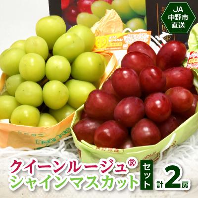 ふるさと納税 中野市 JA中野市直送!長野県オリジナルぶどう「クイーン